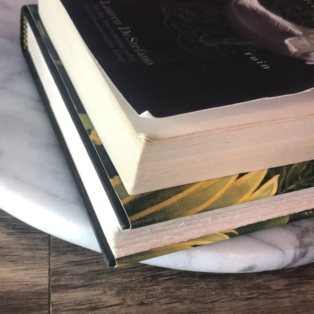 MERRICK Anne Rice & PERFECT RUIN Lauren Destefano hardcover paperback books